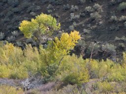 2008Fallcolors-41